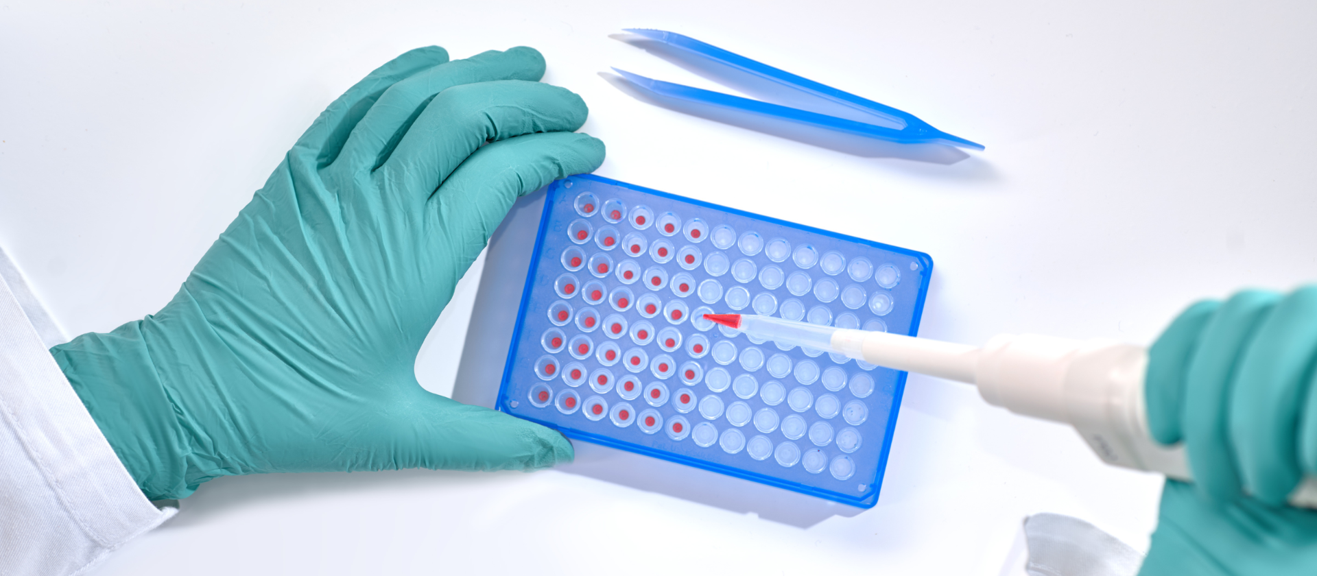 Gloves and a PCR Microplate
